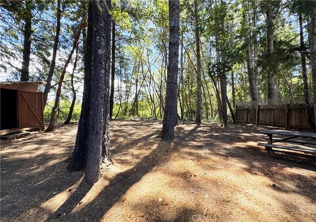 49th image of 25799 Madrone Dr, Willits, CA 95490 | MLS# LC26141538