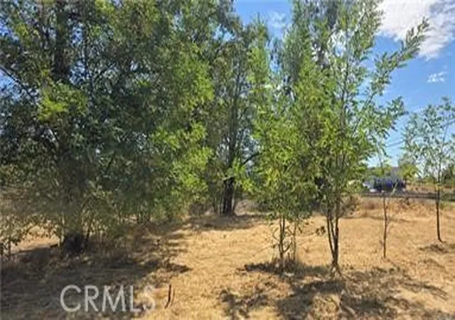 Photo 4 of Land for sale at 810 Roe, Paradise, CA 95969 | MLS# SN26143532 | Listing updated on 2026-07-01