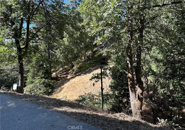 2nd image of 24960 Saxon Dr, Crestline, CA 92325 | MLS# IG26143800