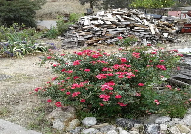 4th image of 9428 Glen O Peace, Tujunga, CA 91042 | MLS# CV26143864