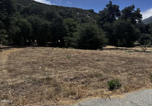 3rd image of 0 Calle Hermosa, Green Valley, CA 91390 | MLS# V1-37352