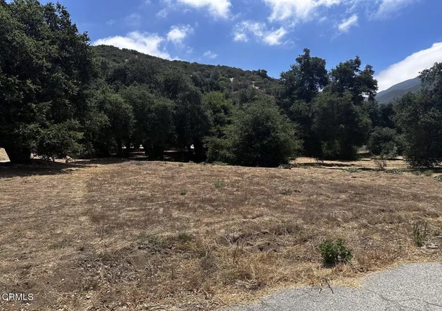 4th image of 0 Calle Hermosa, Green Valley, CA 91390 | MLS# V1-37352