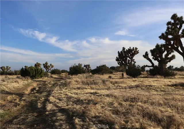 Homes for sale in Hesperia, CA | 9955 Macron St, Hesperia, CA 92344 | MLS# HD26144673