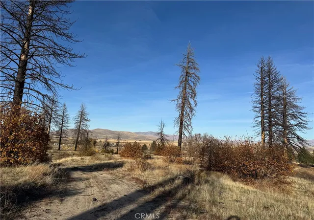 4th image of 713400 Jeters Rd, Janesville, CA 96114 | MLS# SW26144818