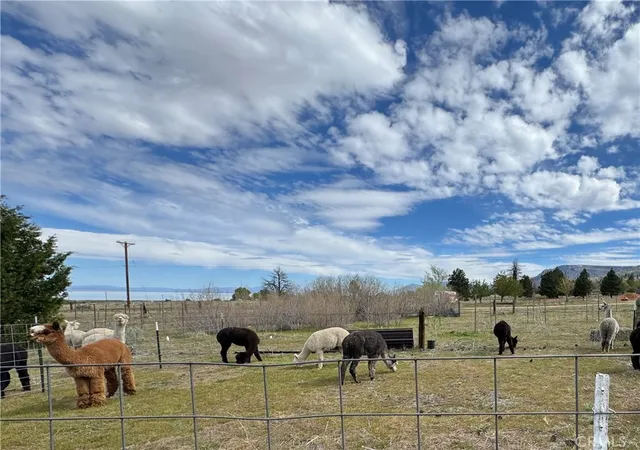 5th image of 713400 Jeters Rd, Janesville, CA 96114 | MLS# SW26144818