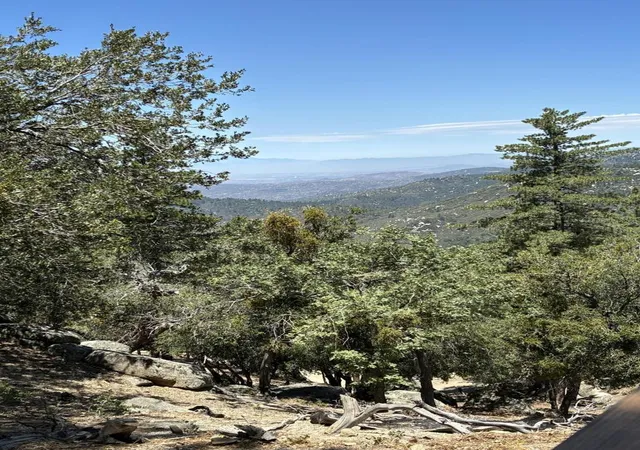 3rd image of 24930 Pine Cove Rd, Idyllwild, CA 92549 | MLS# 219149929DA