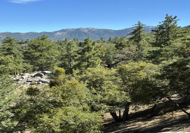 4th image of 24930 Pine Cove Rd, Idyllwild, CA 92549 | MLS# 219149929DA