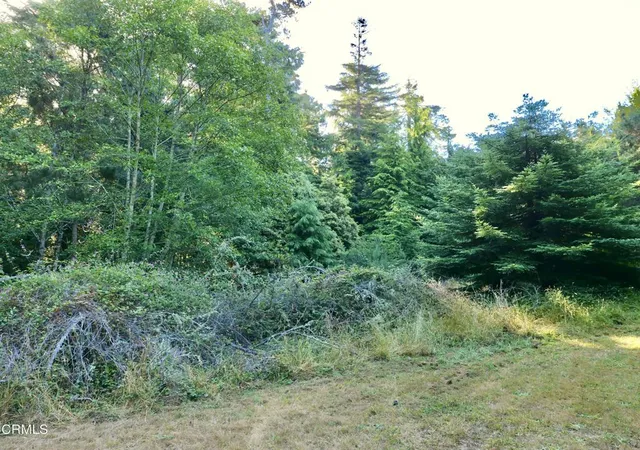 2nd image of 19130 Dorffi Rd, Fort Bragg, CA 95437 | MLS# C1-11449