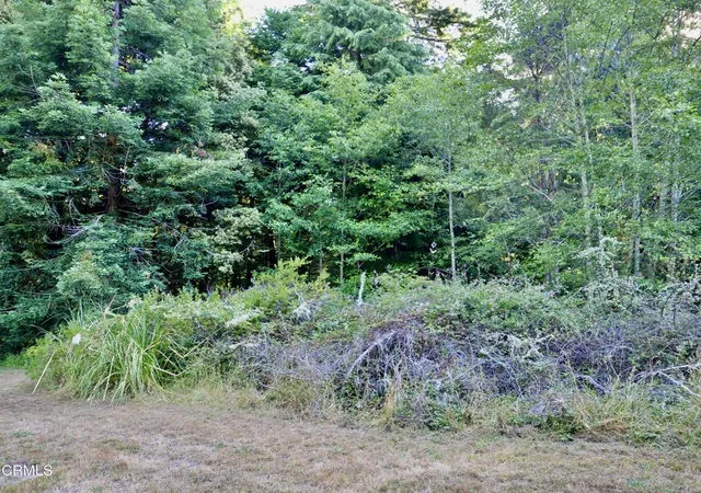 3rd image of 19130 Dorffi Rd, Fort Bragg, CA 95437 | MLS# C1-11449