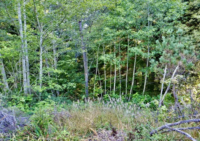 4th image of 19130 Dorffi Rd, Fort Bragg, CA 95437 | MLS# C1-11449
