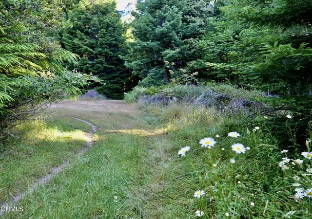 5th image of 19130 Dorffi Rd, Fort Bragg, CA 95437 | MLS# C1-11449
