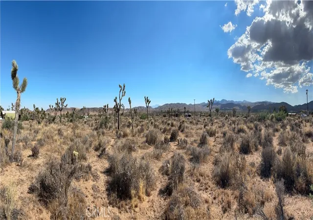 2nd image of 2171 Billy Bob Ln, Pioneertown, CA 92268 | MLS# JT26145419