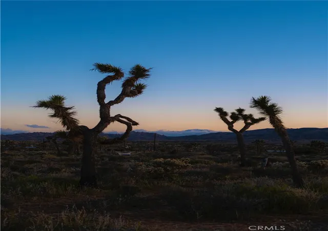 3rd image of 2171 Billy Bob Ln, Pioneertown, CA 92268 | MLS# JT26145419