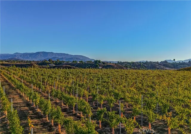 17th image of 34980 Via Del Ponte, Temecula, CA 92592 | MLS# SW26143423