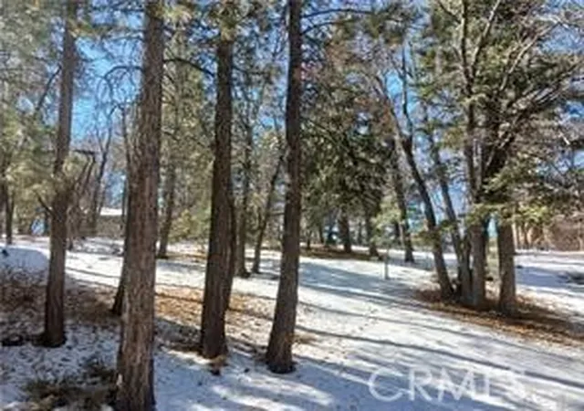 1st image of 0 Columbine, Big Bear City, CA 92314 | MLS# IG26145688