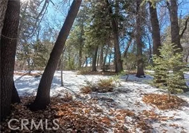 Photo 3 of Land for sale at 0 Columbine, Big Bear City, CA 92314 | MLS# IG26145688 | Listing updated on 2026-07-05