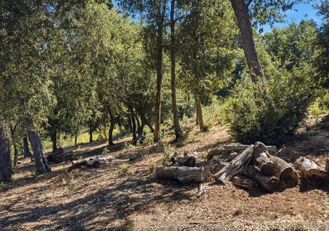 4th image of 0 Toyan Mountain Lane, Julian, CA 92036 | MLS# 260016280SD