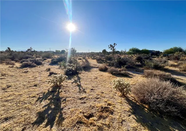 4th image of 0 Anita Ave, Yucca Valley, CA 92284 | MLS# JT26144941