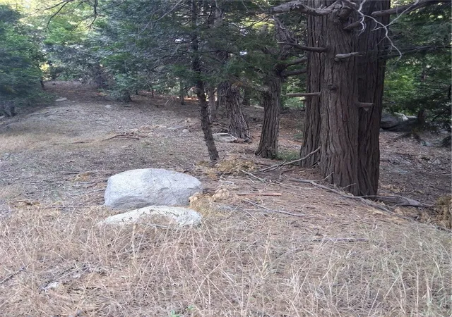 2nd image of 6 Finhaut Dr, Crestline, CA 92325 | MLS# IG26145522