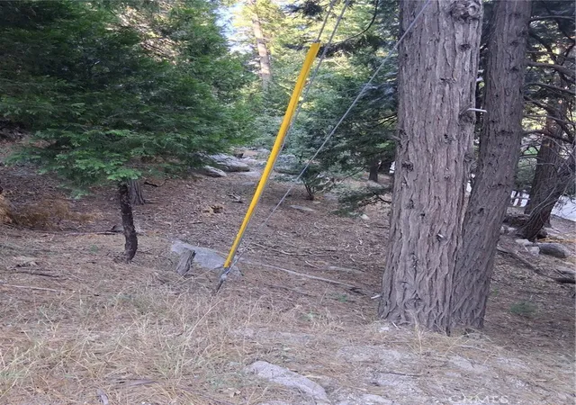 4th image of 6 Finhaut Dr, Crestline, CA 92325 | MLS# IG26145522