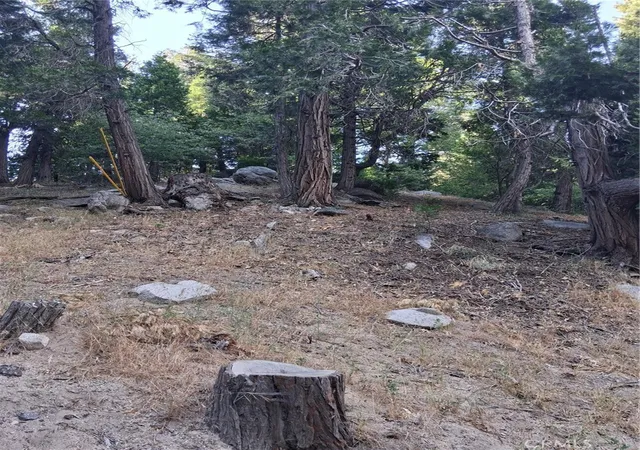 5th image of 6 Finhaut Dr, Crestline, CA 92325 | MLS# IG26145522