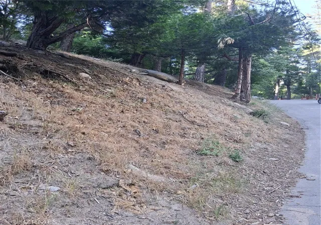 9th image of 6 Finhaut Dr, Crestline, CA 92325 | MLS# IG26145522