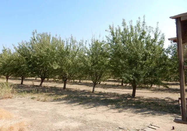 9th image of 7861 Whitworth Rd, Gustine, CA 95322 | MLS# ML82053243