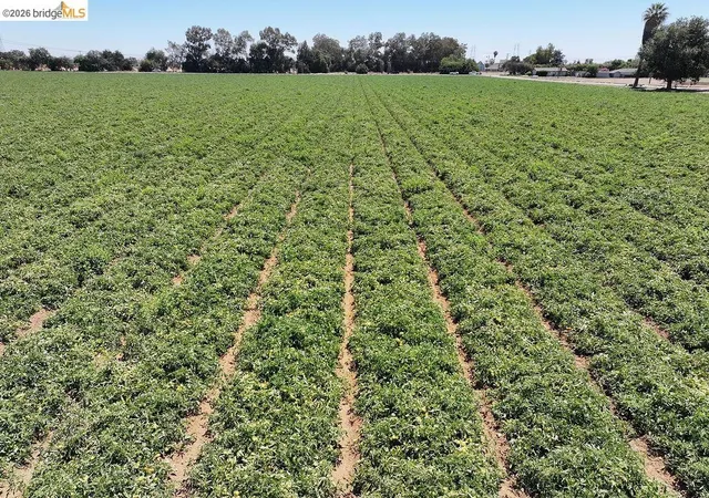 Land for sale at Bixler Rd, Byron, CA 94514 | MLS# 41140623