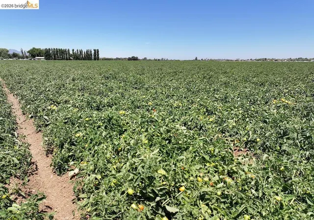 Photo 3 of Land for sale at Bixler Rd, Byron, CA 94514 | MLS# 41140623 | Listing updated on 2026-07-13