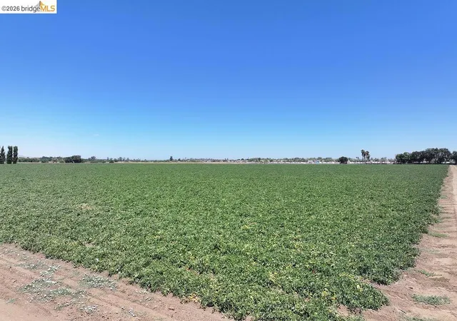 Photo 2 of Land for sale at Bixler Rd, Byron, CA 94514 | MLS# 41140624 | Listing updated on 2026-07-13