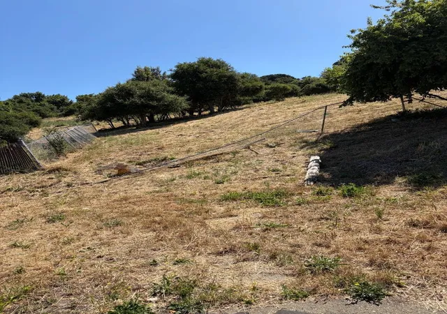 1st image of 0 Douglas St, Hayward, CA 94544 | MLS# ML82053284
