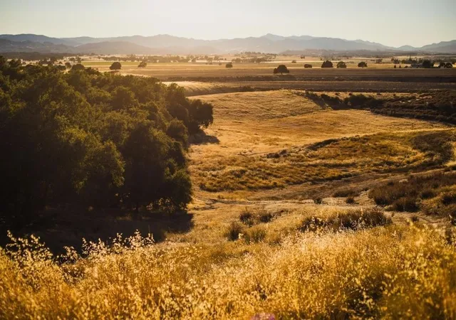 1st image of 68365 Jolon Rd, Bradley, CA 93426 | MLS# ML82053287
