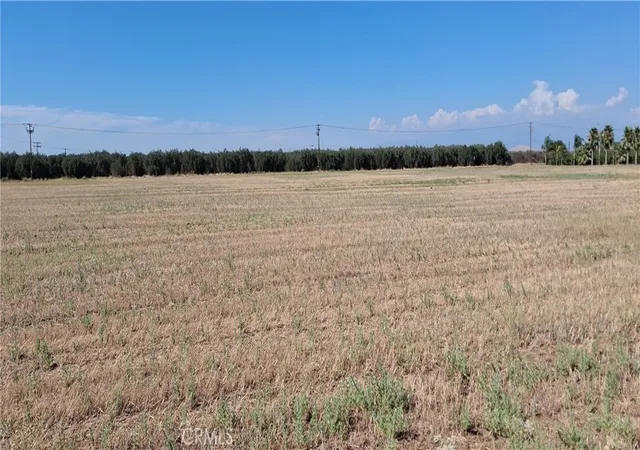 10th image of 0 Rd 224, Ducor, CA 93218 | MLS# IG26147671
