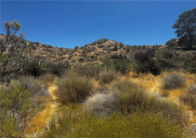 Photo 4 of Land for sale at 54025 Ridge, Yucca Valley, CA 92284 | MLS# JT26147687 | Listing updated on 2026-07-07