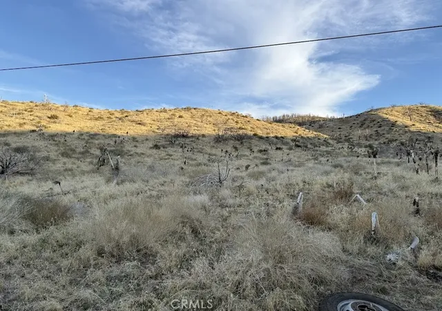 65th image of 0 200, Llano, CA 93544 | MLS# SR26145313