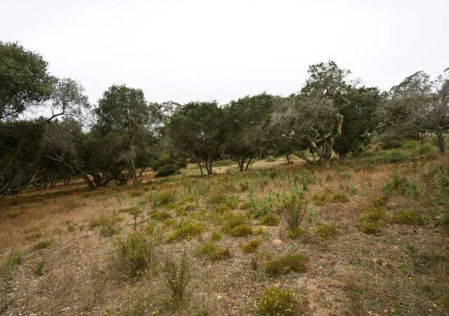 1st image of 0 Valle Pacifico, Salinas, CA 93907 | MLS# ML82053459