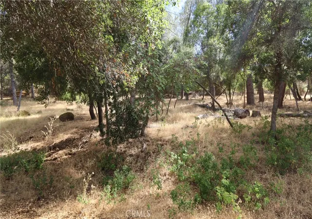 1st image of 10465 Boren Bega Dr, Kelseyville, CA 95451 | MLS# LC26141449