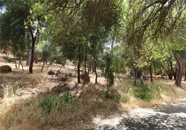 2nd image of 10465 Boren Bega Dr, Kelseyville, CA 95451 | MLS# LC26141449