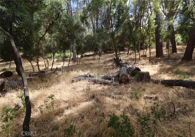 3rd image of 10465 Boren Bega Dr, Kelseyville, CA 95451 | MLS# LC26141449