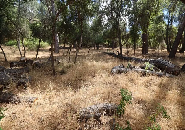 4th image of 10465 Boren Bega Dr, Kelseyville, CA 95451 | MLS# LC26141449