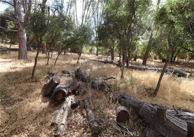5th image of 10465 Boren Bega Dr, Kelseyville, CA 95451 | MLS# LC26141449