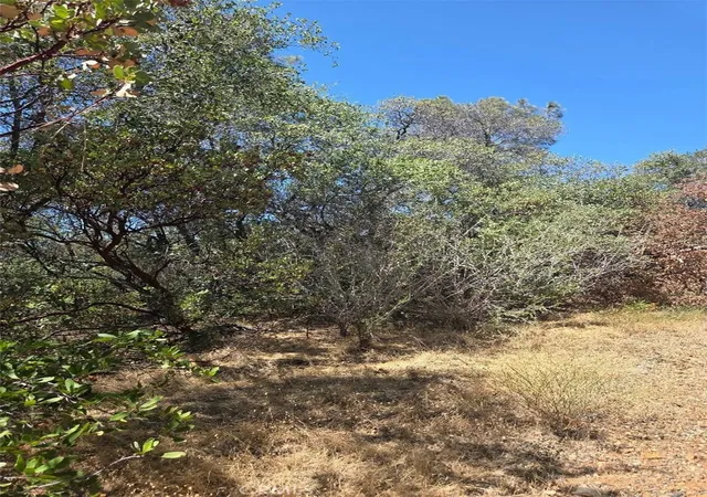 Photo 1 of Land for sale at 0 Roemelt Ln, Oroville, CA 95966 | MLS# OR26147947 | Listing updated on 2026-07-09