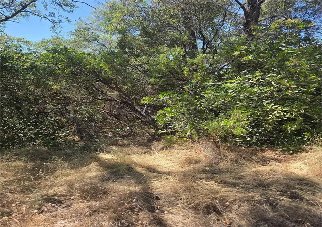 Photo 2 of Land for sale at 0 Roemelt Ln, Oroville, CA 95966 | MLS# OR26147947 | Listing updated on 2026-07-09