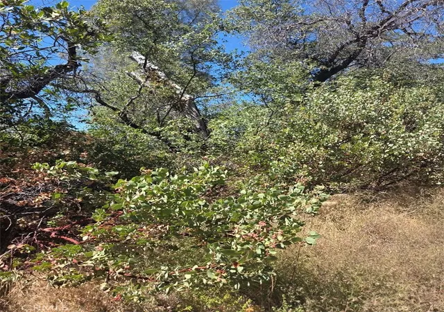 Photo 3 of Land for sale at 0 Roemelt Ln, Oroville, CA 95966 | MLS# OR26147947 | Listing updated on 2026-07-09