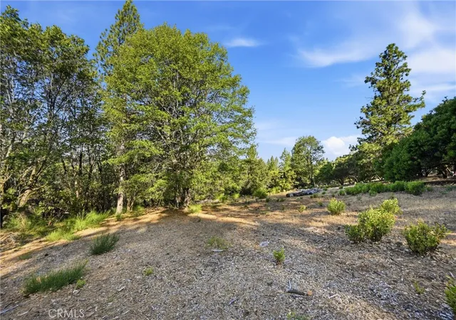 1st image of 9003 Fox Dr, Cobb, CA 95426 | MLS# LC26146982