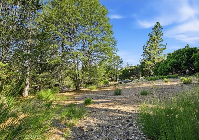 2nd image of 9003 Fox Dr, Cobb, CA 95426 | MLS# LC26146982