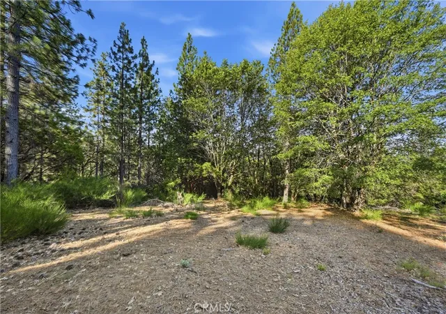 Photo 3 of Land for sale at 9003 Fox Dr, Cobb, CA 95426 | MLS# LC26146982 | Listing updated on 2026-07-08