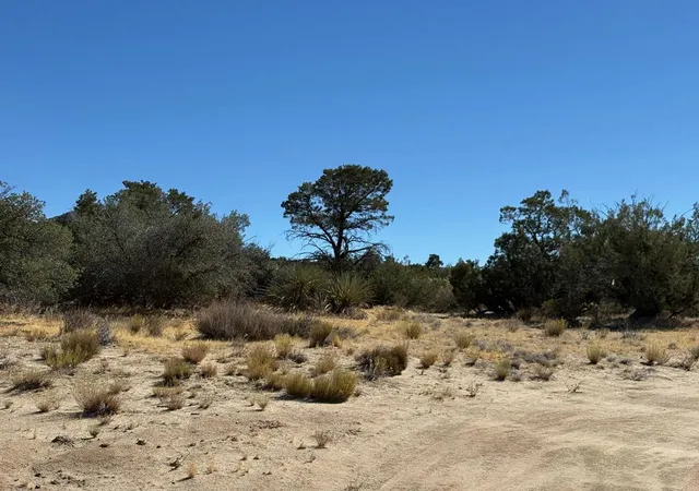 1st image of 0 Materhorn, Mountain Center, CA 92561 | MLS# 219150074DA