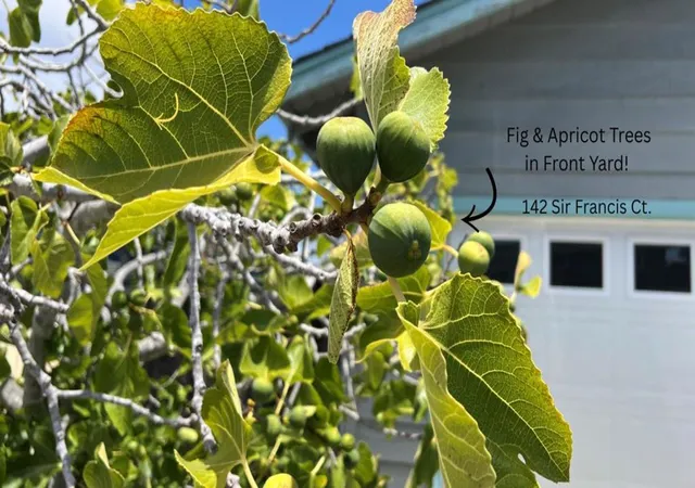 Photo 4 of Single family home for sale at 142 Sir Francis Ct, Capitola, CA 95010 | MLS# ML82053609 | Listing updated on 2026-10-09