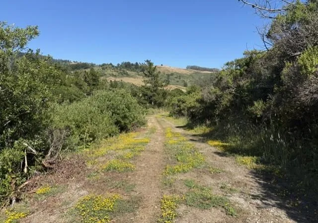 Homes for sale in Half Moon Bay, CA | 2851 Tunitas Creek Rd, Half Moon Bay, CA 94019 | MLS# ML82051817